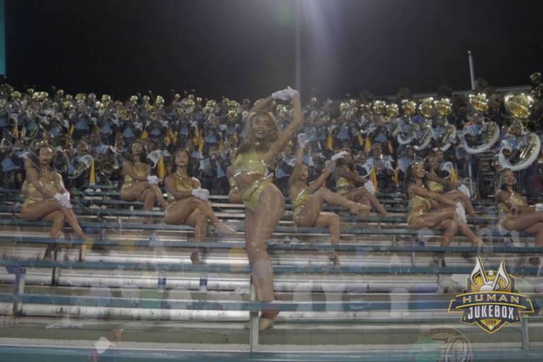 Southern University Human Jukebox 2016 “Controlla” By Drake | SU Vs. Tulane
