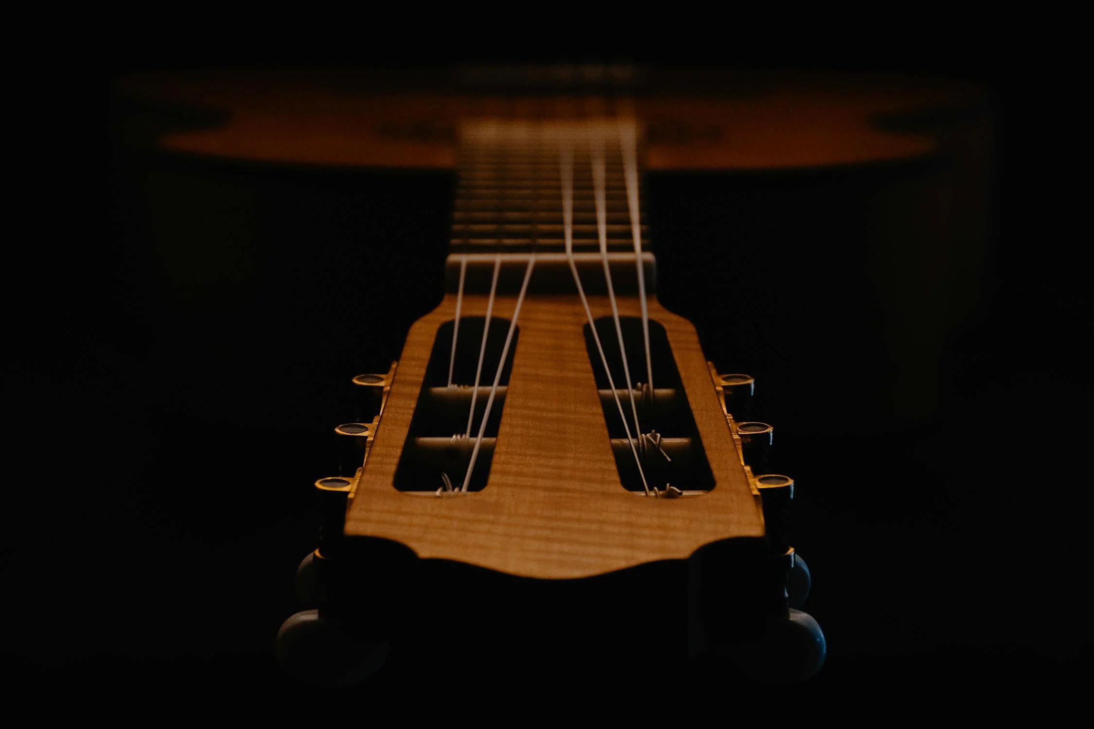 Guitar