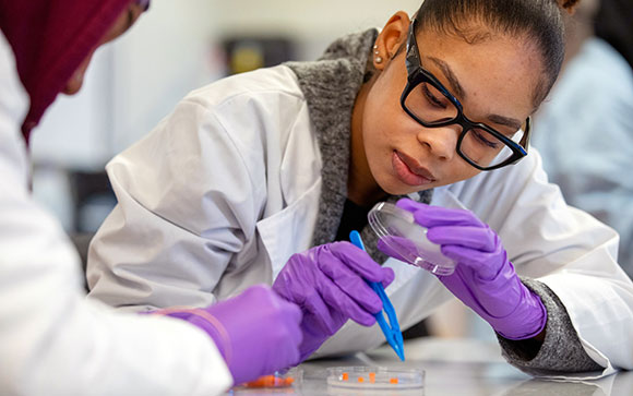 HBCU Secures Part of $40M NSF Grant to Enhance STEM Research 