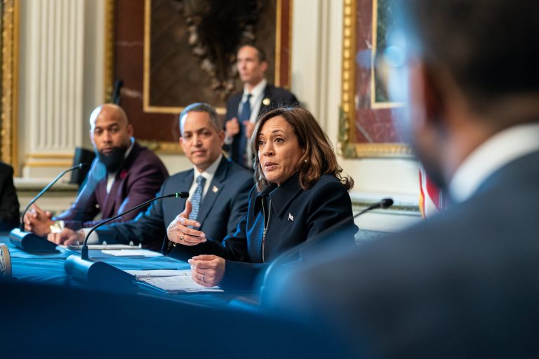 Kamala Harris Speaks With Young Men of Color Entrepreneurs At The White House