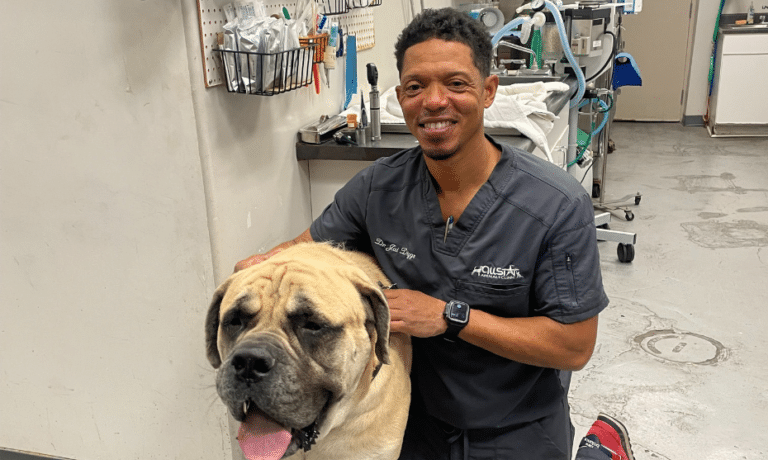 HBCU Grad Named First Black Westminster Kennel Club Veterinarian of the Year